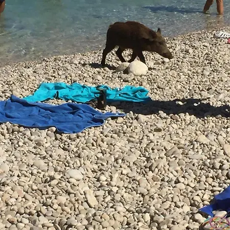 Ferienhaus 3 Stars San Vito Lo Capo